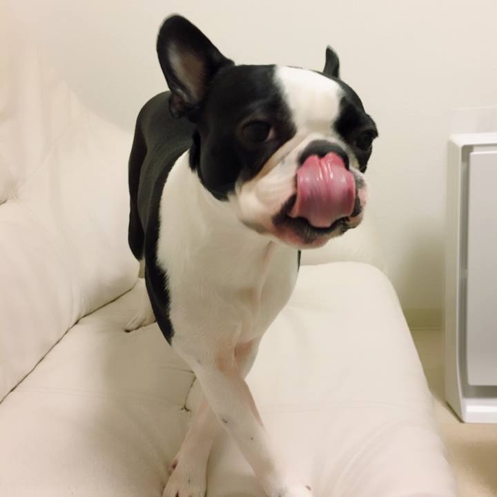 1b08cd0f 5a72 4e55 9294 d5a2362b530b