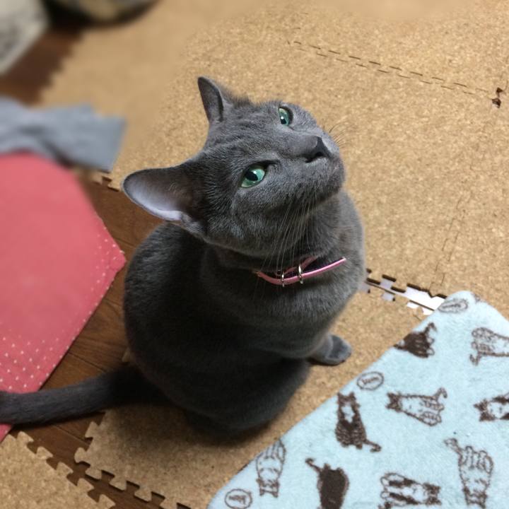 1b08ef45 2219 4e1e adb8 2683a49259e1