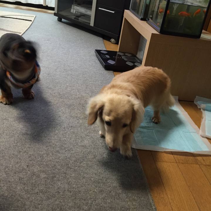 1b08f5b1 f6ba 4044 bfd7 085d48cac5a2