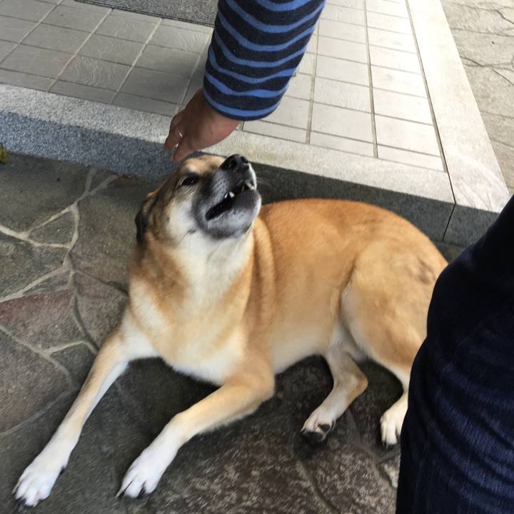 1b0906fb 79bb 4f8f af40 67608d80503c