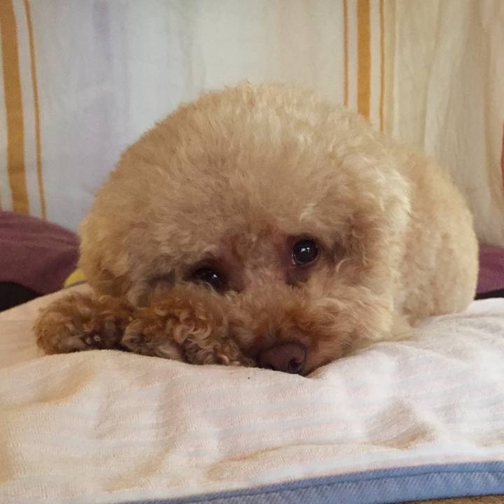 1b0929ca 1701 448d 8870 812e0a0f83d8