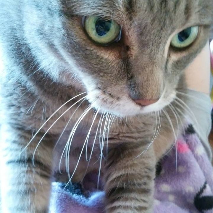 1b09d2d4 cf6f 4150 85b2 8bbdd9ec2b03