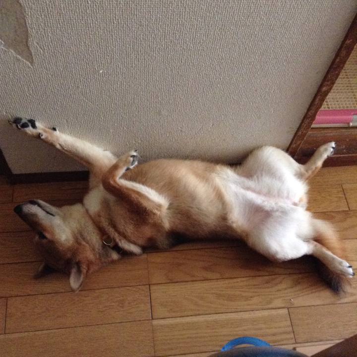 1b09f513 3747 4179 9fce 2e4050d41cee