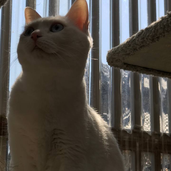 1b0a0b7d f9d6 49c6 b551 7c46f2801462