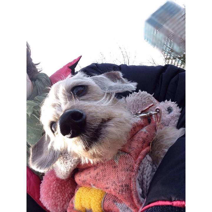 1b0a20e2 69b7 4ce4 8408 cc72e5ad3b41