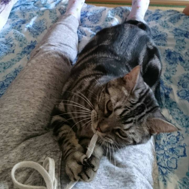 1b0b9147 4620 40dc 920e 9e9f2082305b