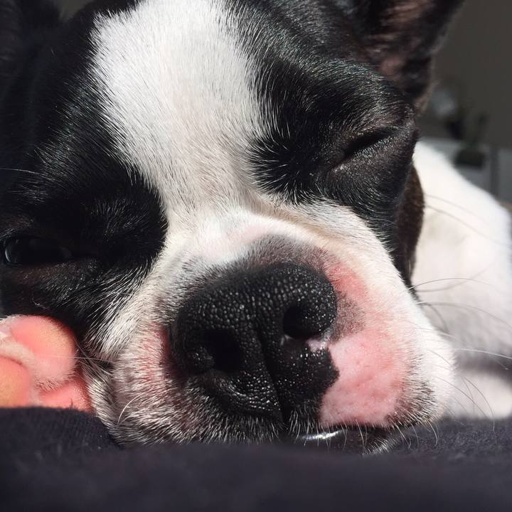 1b0bb9ea 247c 4ad8 9993 6101c2430276