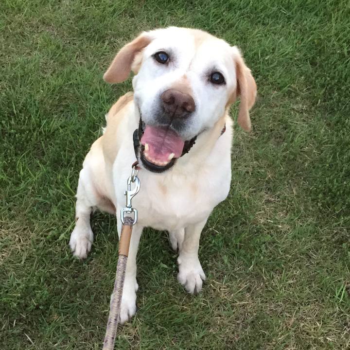 1b0bfdbb 22ed 4cf6 afe3 b0a0661e6fd9