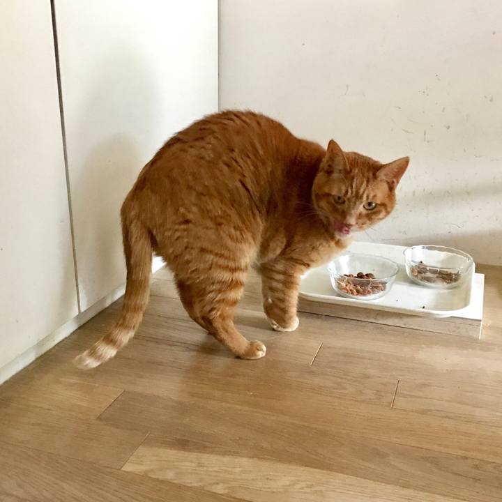 1b0c48ed 46eb 40ea b3ad 2b661de40a01