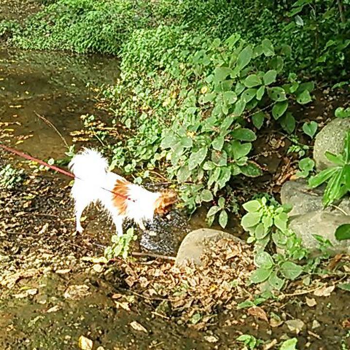 1b0ca2c0 3447 474b aa80 d7872aeaeb24