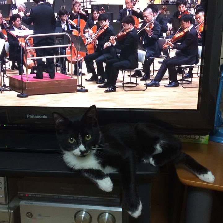 1b0ca43b e5a8 42e8 90a1 09e9da3f0935