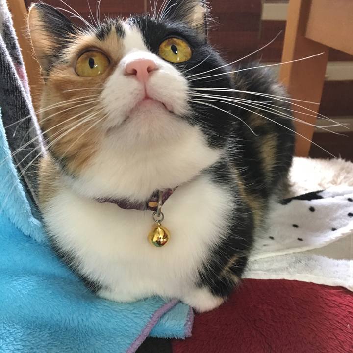 1b0cecb2 b512 454e 8a10 ebe5b24ea465