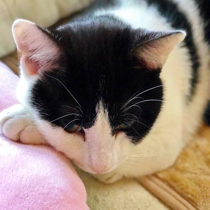 1b0d5bc7 a91f 4743 977e 2a90c8c90ce7