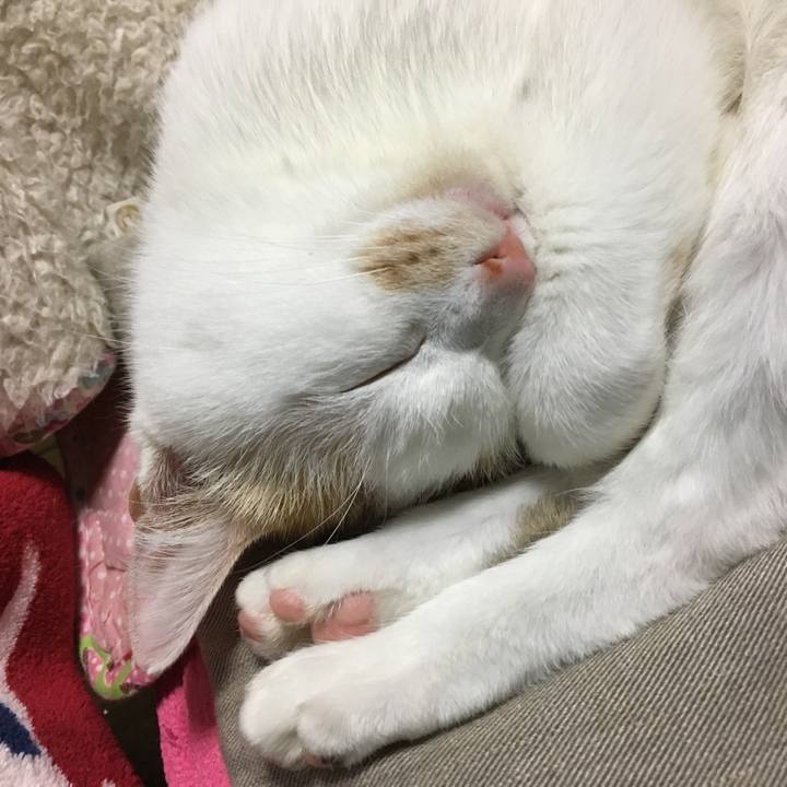 1b0d5e2b 032b 401e 99bc d98115ff1534