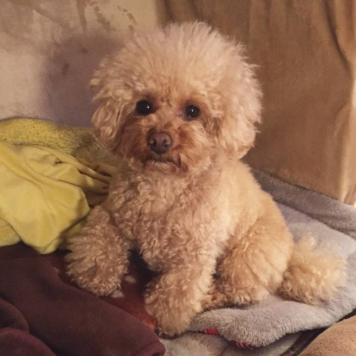 1b0dc320 ab7b 433b bce6 a54d8c0e69be