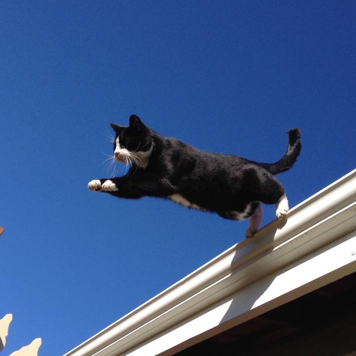 1b0dc8b3 1e51 42ac 8278 134a09e66f88