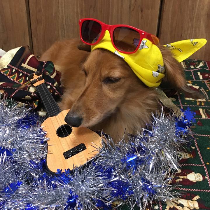 1b0ec48a 7aec 4039 afed c737ab4b2113