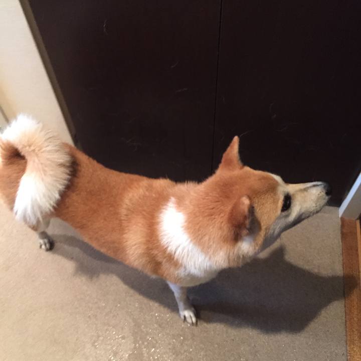 1b0ffdd2 998b 45e1 9cfc ac244784878f