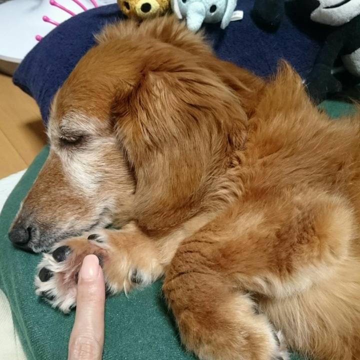 1b104e34 5e89 49c1 b2b1 88963813c911