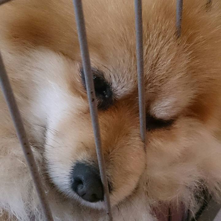 1b1075b7 ed9d 4375 8ea5 856c86cc7ef5