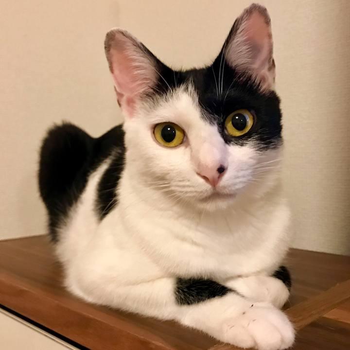 1b109cf9 49ff 4846 8ee8 02cf0353bcca