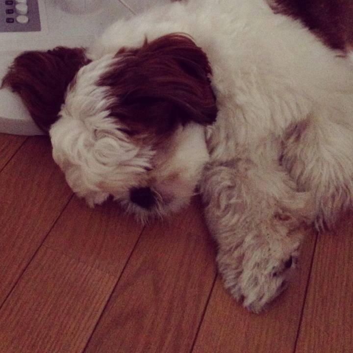 1b10edf9 c288 497c 976e fd4a7c878f87