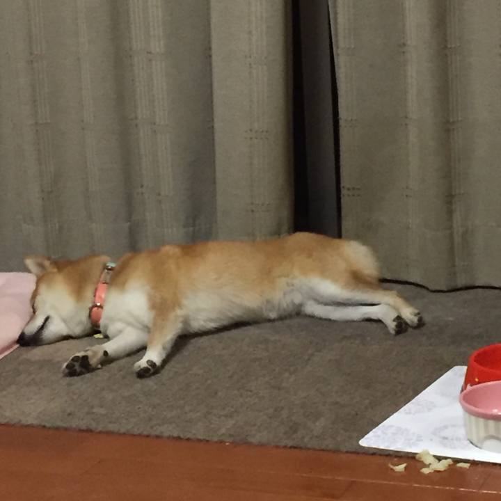 1b1101fa caee 42f7 b004 d5e475557cb4