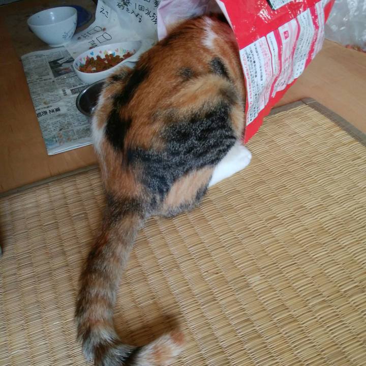 1b1117fe a53e 4bb2 b400 e831eb25d3d6