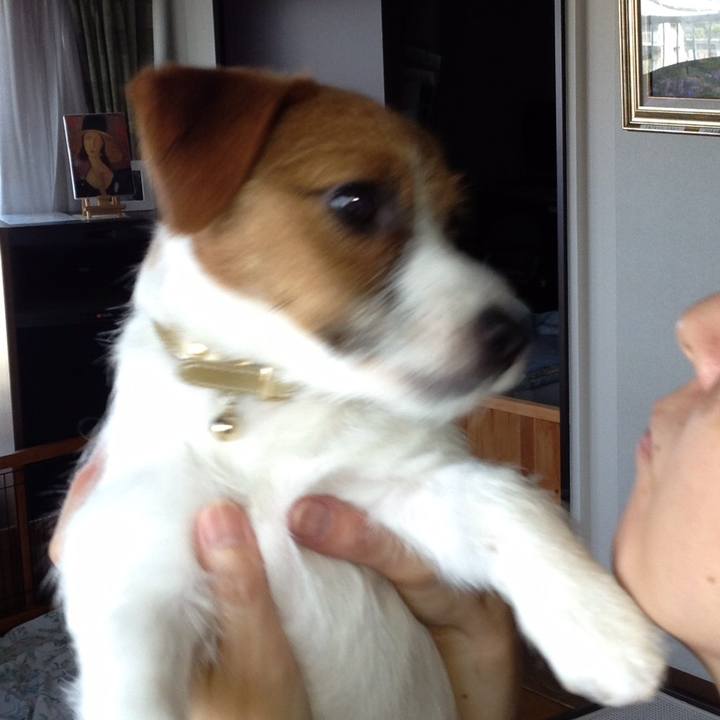 1b118689 ca9a 463a b97f 8583f6713ac0