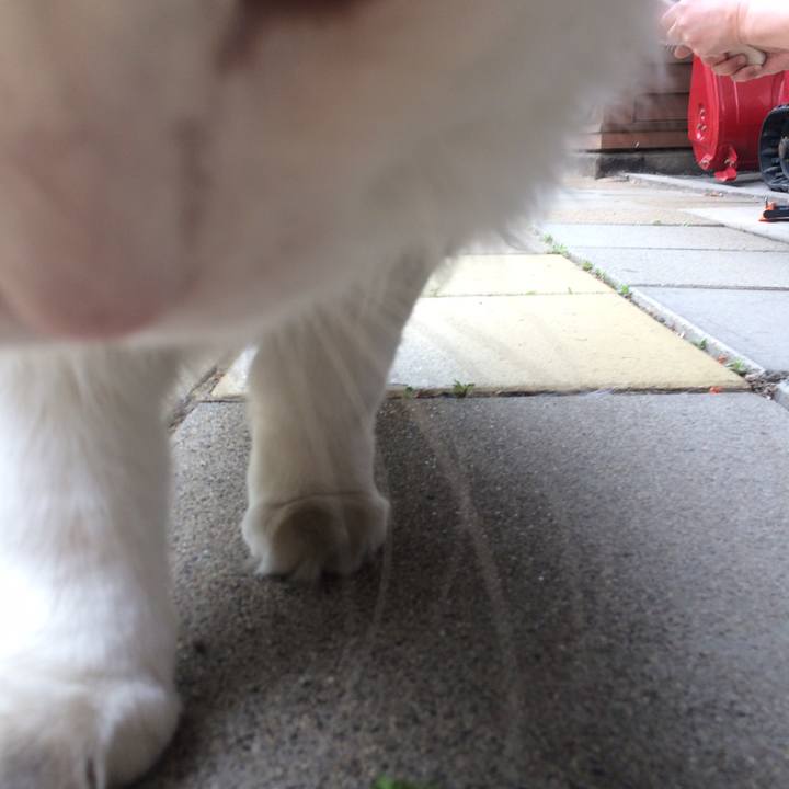 1b1254bd deaf 49af a265 2db68d2a3b24