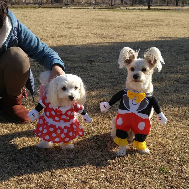 1b12fca2 fcc4 4a70 962a 2bcd655a3d15