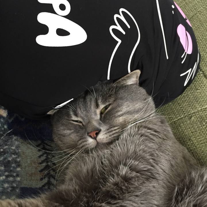 1b134686 b760 47ba b08e 88a5a0294717