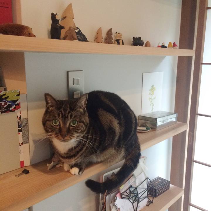 1b134773 8b32 413d b3b1 4ef8d6b71a3c