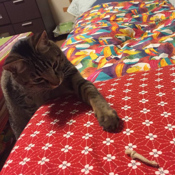 1b1491b3 9375 4ae3 ab75 1bd061c85d10