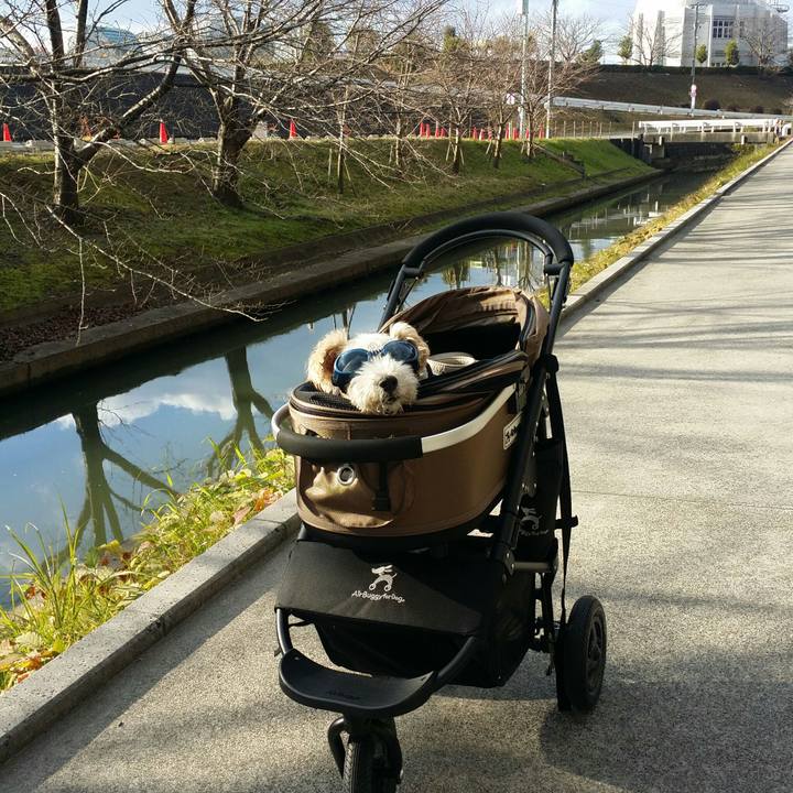 1b14a27b 9f70 496b 8716 7edaf868bdf8