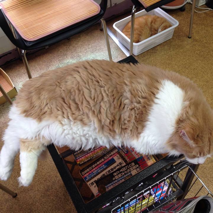 1b14ecc8 95e8 4b19 8c5e a31822d56334