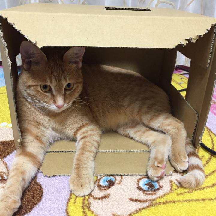 1b152daf cebc 4c4e 80c8 c4291f099cd7