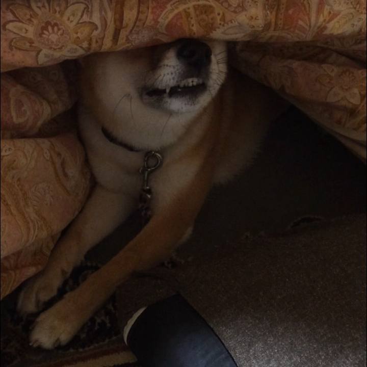 1b15c0b6 d00d 4d39 829e d56219ceb1ef