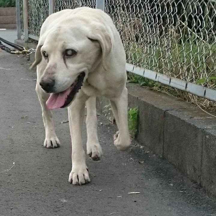 1b15df32 3f4a 416e bdd8 3150f46c992e