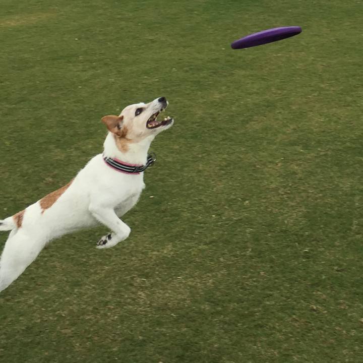 1b16a3ee e205 4ee6 928f ef521133aba6