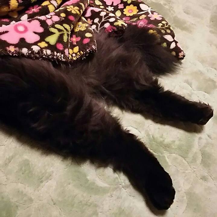 1b16d37e ff95 43ba abf5 6f17e34de685