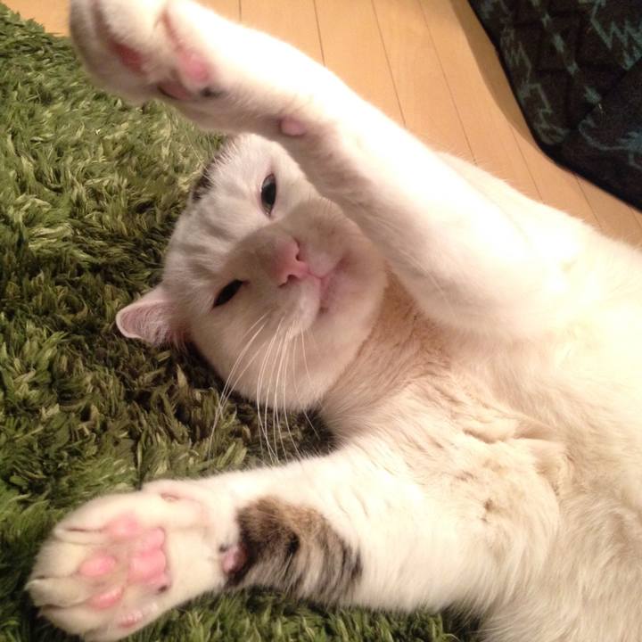 1b183599 104c 42bd 83de 462046c85aab