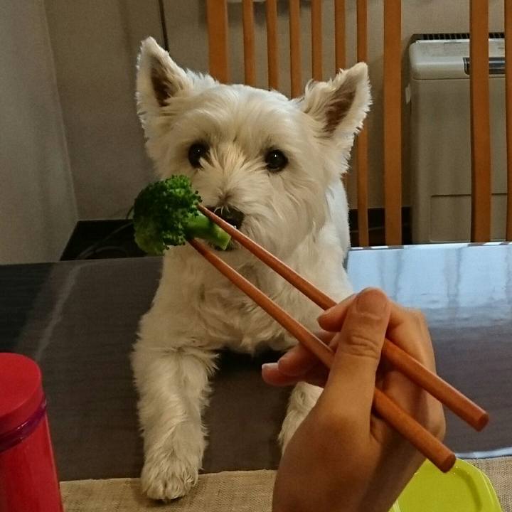 1b18482b 7da0 45ea 8a38 dbaed3c0b090