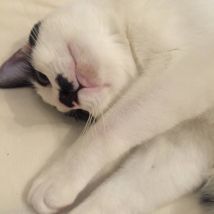 1b187a71 6c11 4516 904b 9c894b3131e3