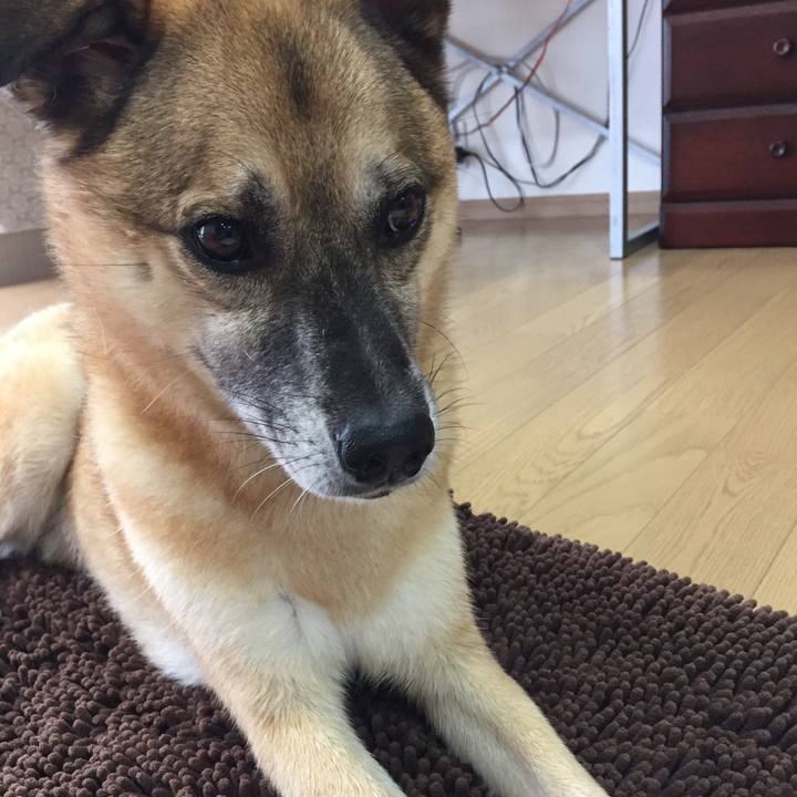 1b19f107 ccb3 4761 a943 8a4d0f9a3385