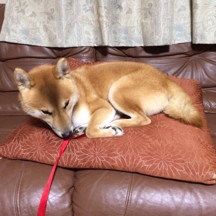 1b1a0a4e 289e 4b1c aa79 c52725a8a830