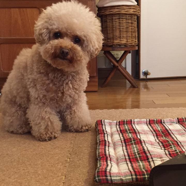 1b1a14e6 f8bf 4d6e a0e1 975058ba793a