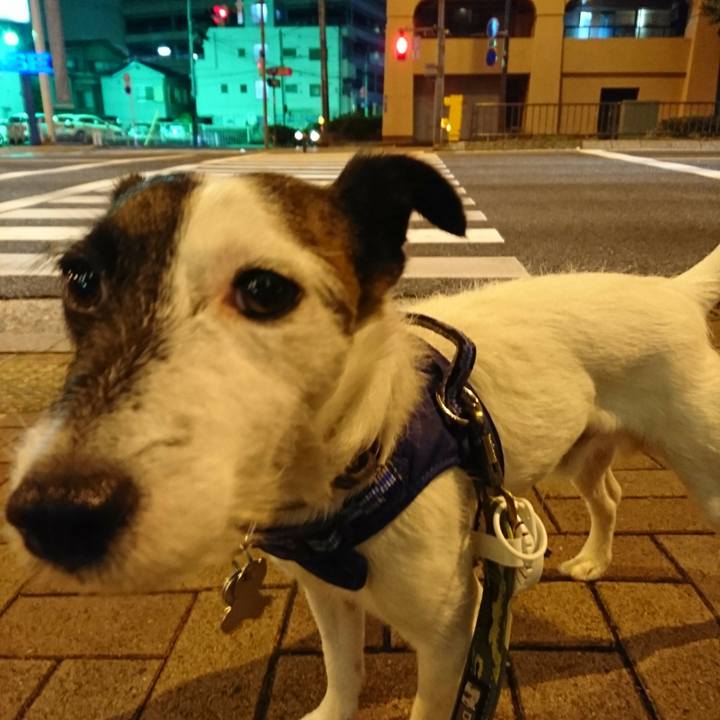 1b1a8096 cffc 455f a4a7 84830464fa68