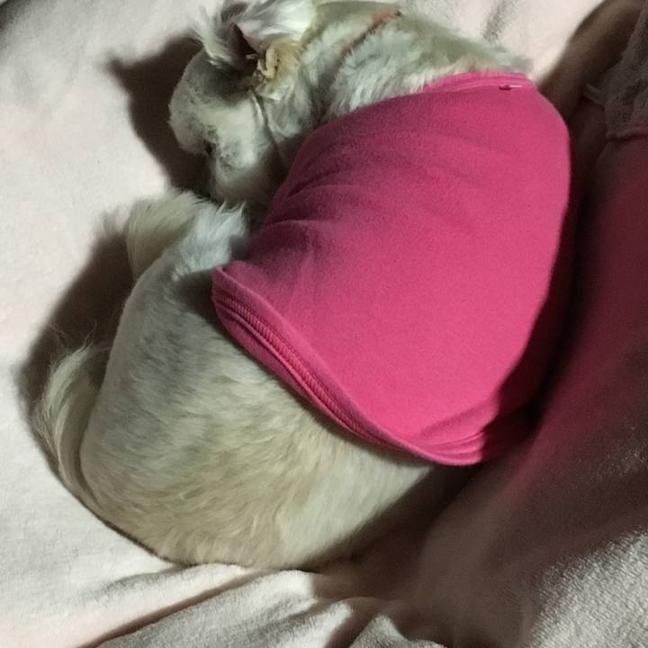 1b1b8dd2 cbab 4b52 a804 15dce93b22a9