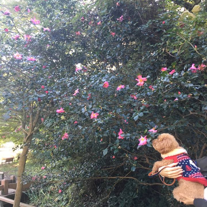 1b1bfa87 eacd 4e69 8355 ad717e247fba